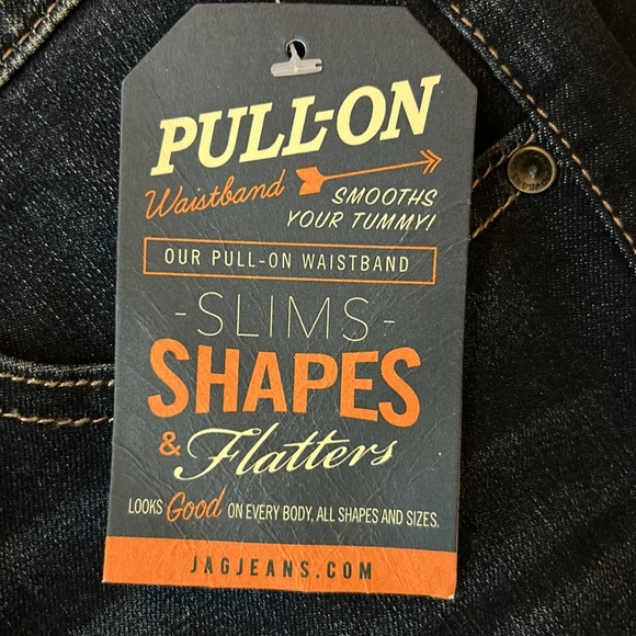 JAG JEANS NWT Maya High Rise Skinny Pull-On Smoothing Baltic Blue Size 10 - Picture 4 of 9